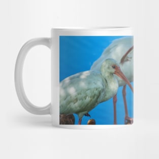 Double fun with American white ibis Mug